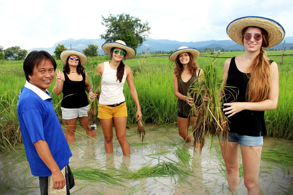 banthi tour chiang mai